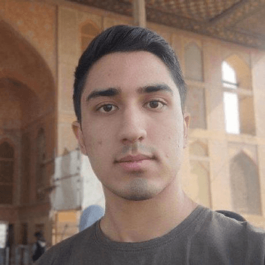 Amir A M